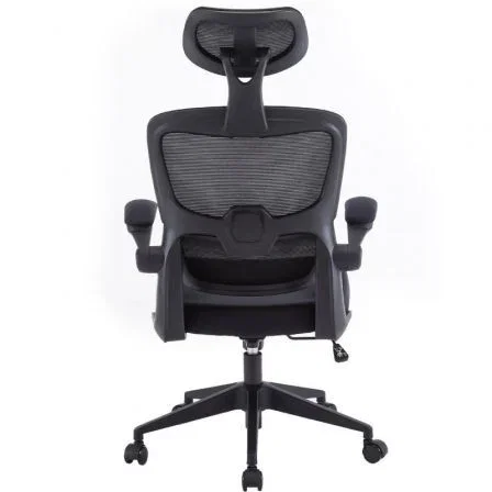 Woxter Silla Gaming Ergonómica Ergo Negro con Reposacabezas Ajustable y Reposabrazos Abatibles, Malla Transpirable - GM26-107